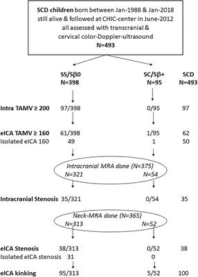 Incidence, kinetics, and risk factors for intra- and extracranial cerebral arteriopathies in a newborn sickle cell disease cohort early assessed by transcranial and cervical color Doppler ultrasound